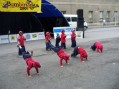 Hip-Hopers 8