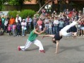Bambiriáda 2008