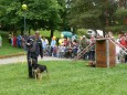 Doprovodny_program